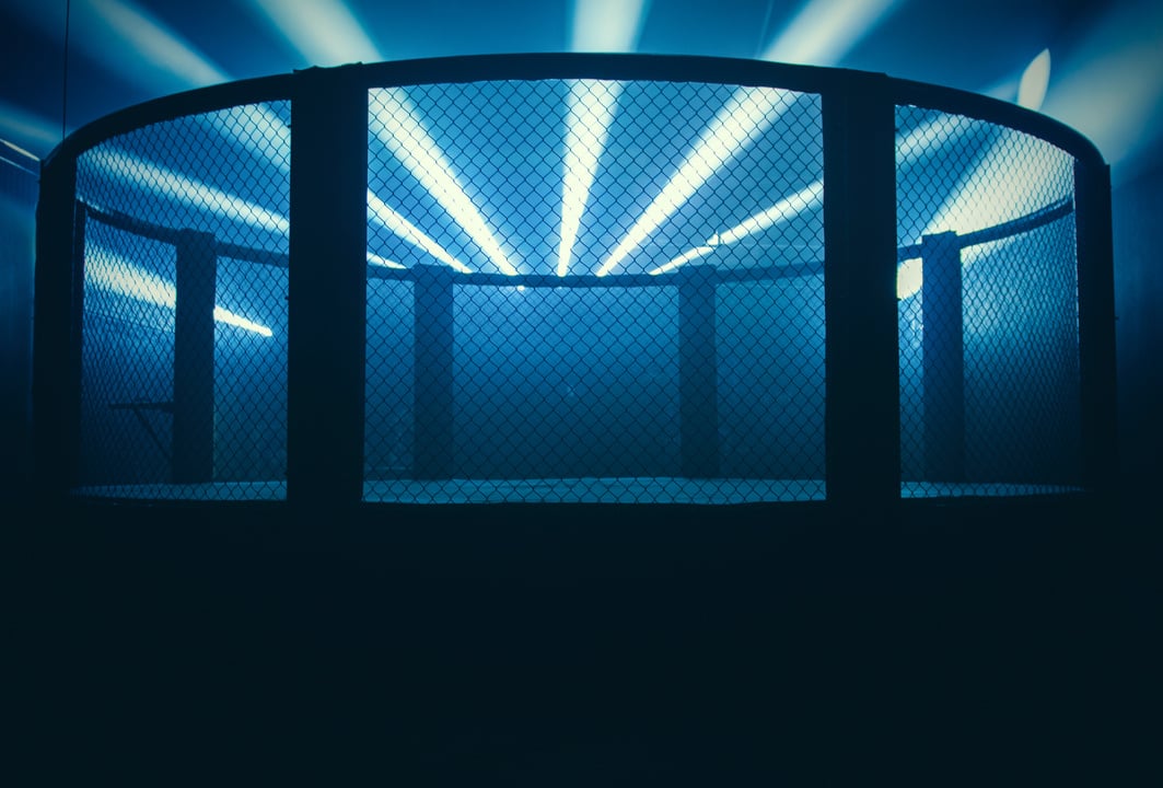 Mixed Martial Arts Arena