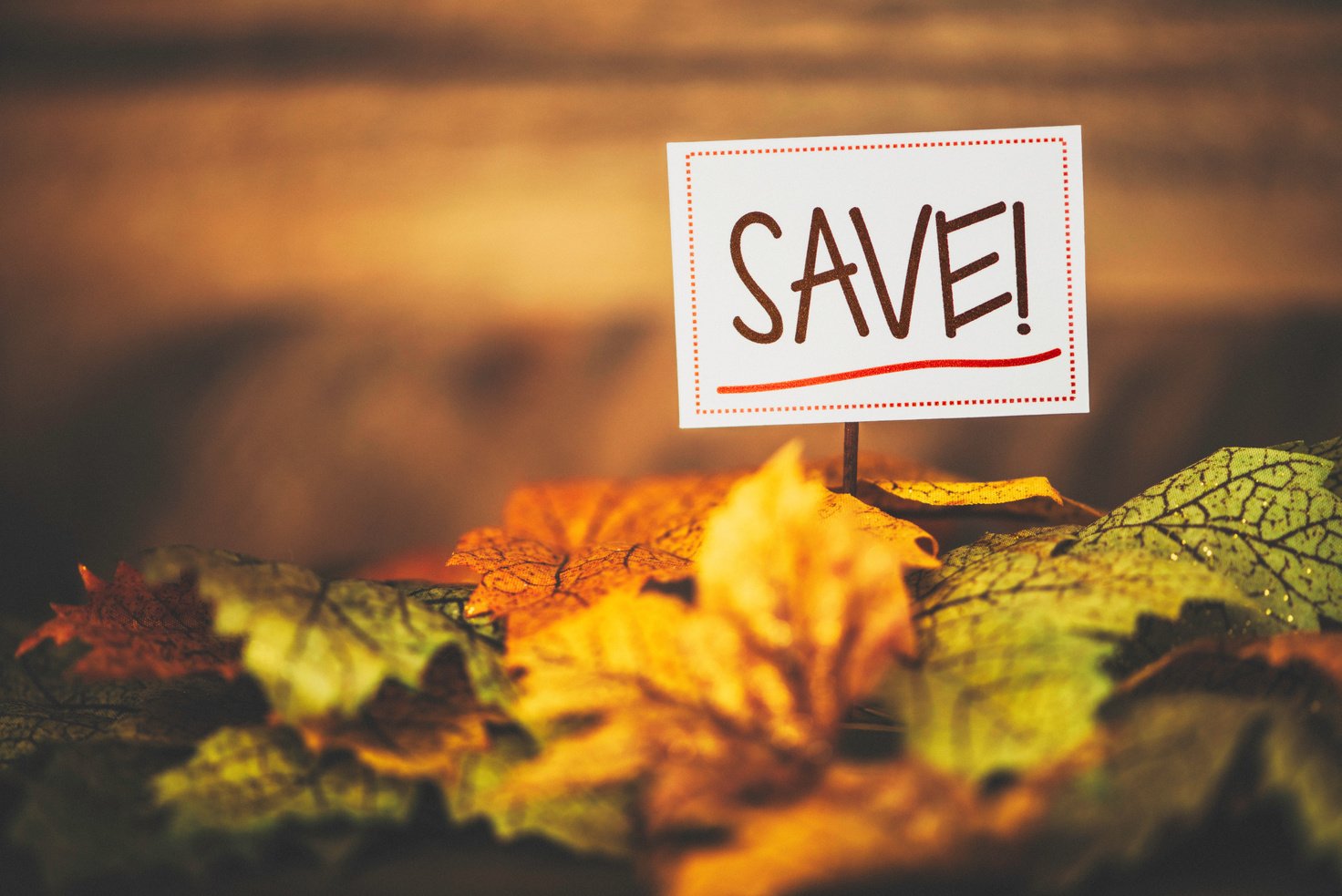 Fall Sale. Fall leaves with SAVE message